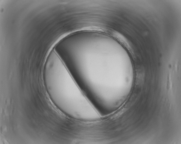 X0000082711284200701260946