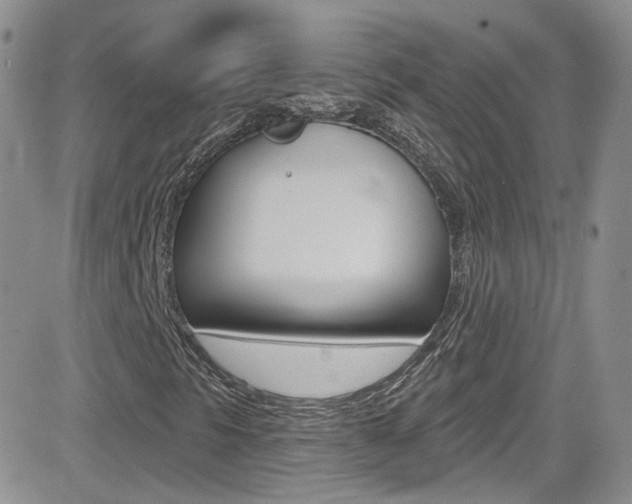X0000082711297200701260945