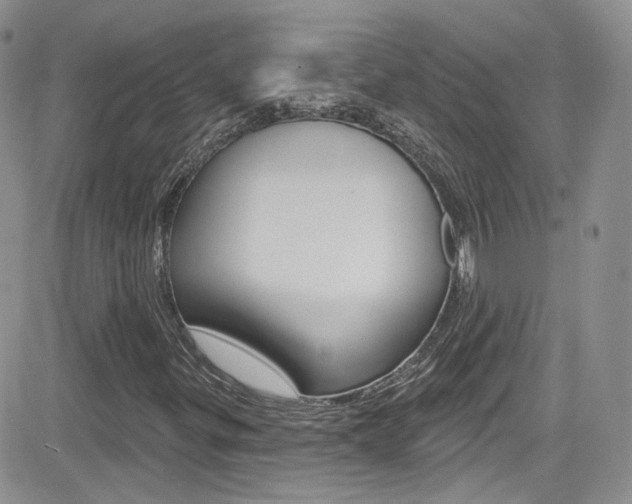 X0000082711299200701260945