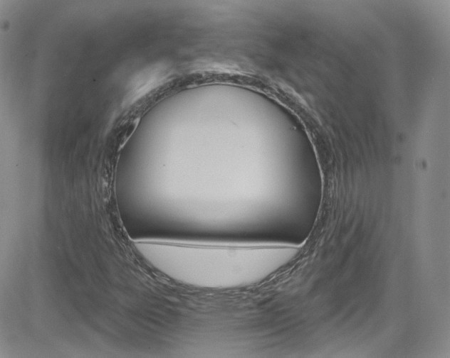 X0000082711303200701260945