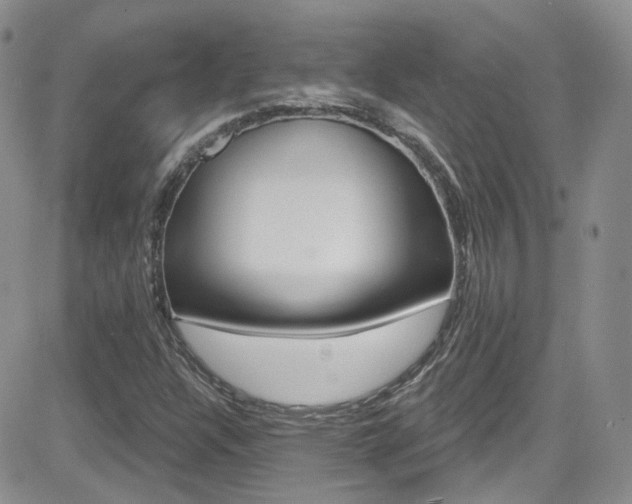 X0000082711304200701260945