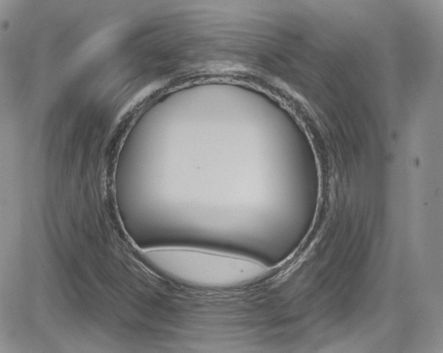 X0000082711306200701260945