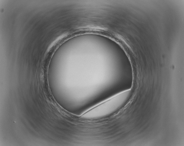X0000082711307200701260945