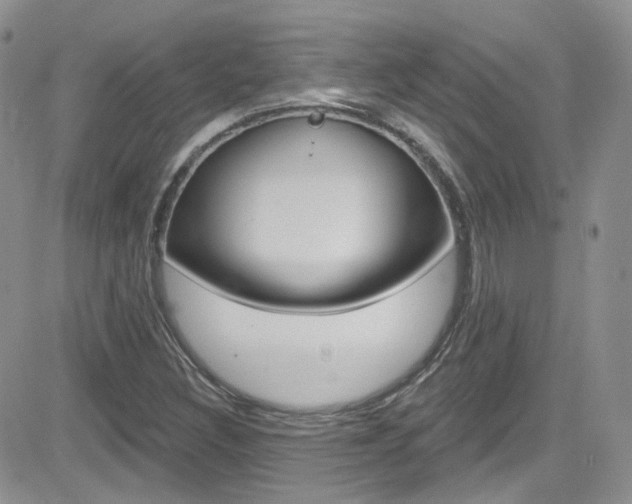 X0000082711308200701260945