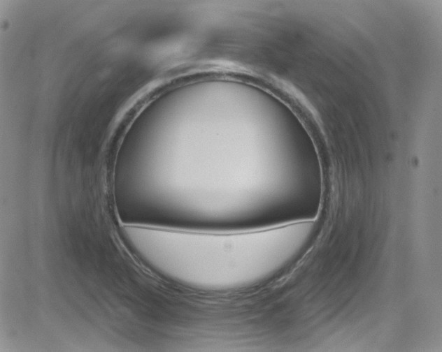 X0000082711318200701260945