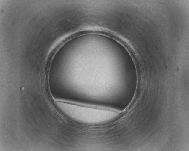 X0000082711319200701260945