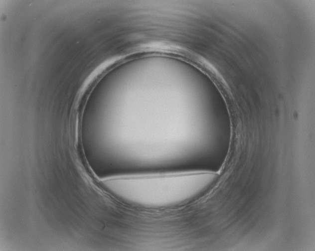 X0000082711323200701260945