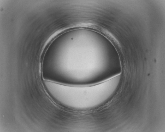 X0000082711324200701260945