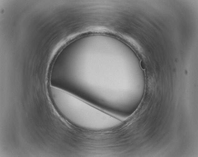 X0000082711327200701260945