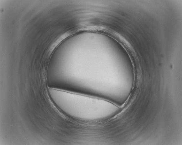 X0000082711329200701260945