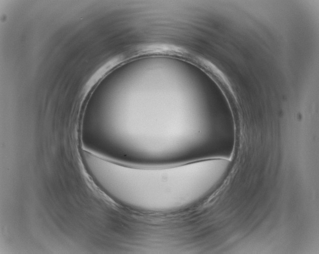 X0000082711330200701260945