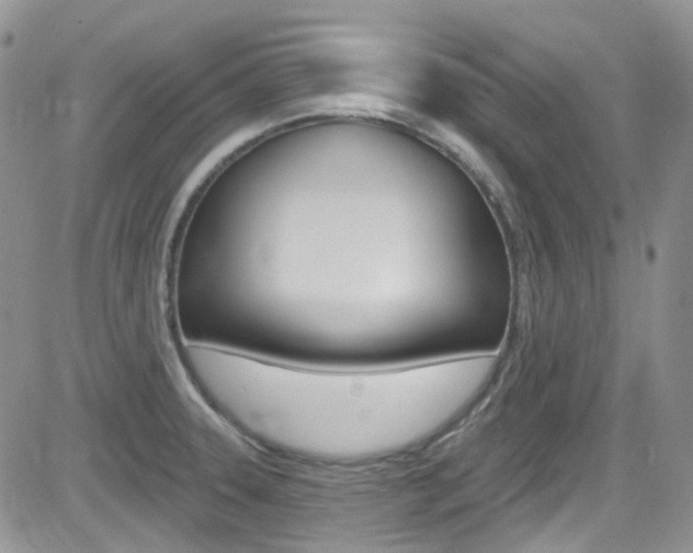 X0000082711331200701260945