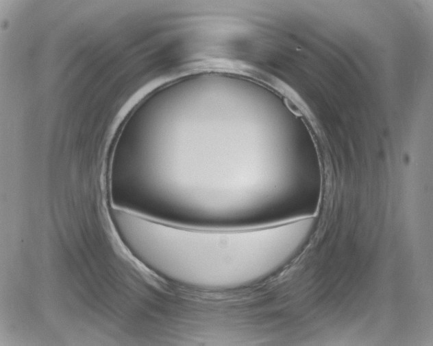 X0000082711339200701260945
