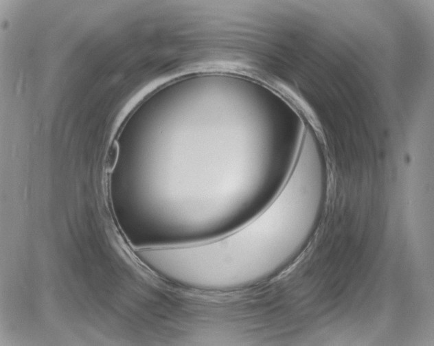 X0000082711340200701260945