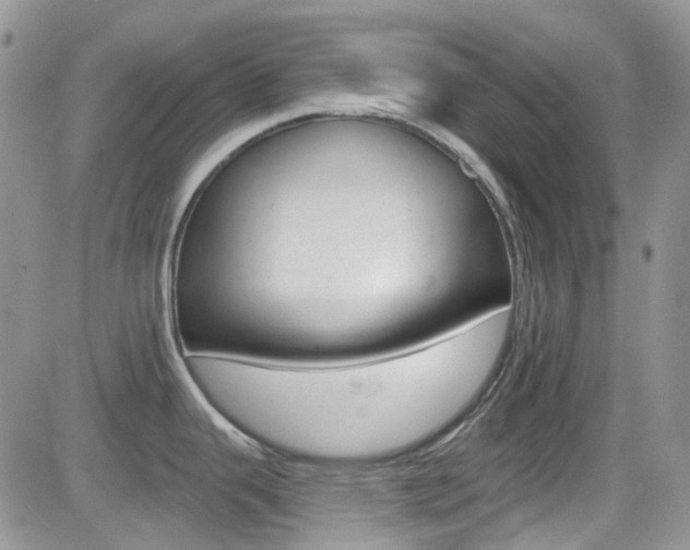 X0000082711343200701260945