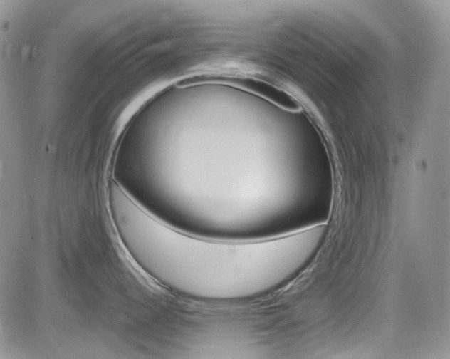 X0000082711344200701260945