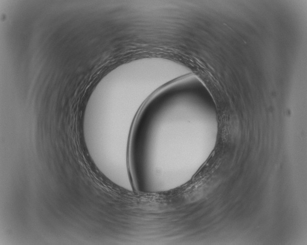 X0000082711345200701260945