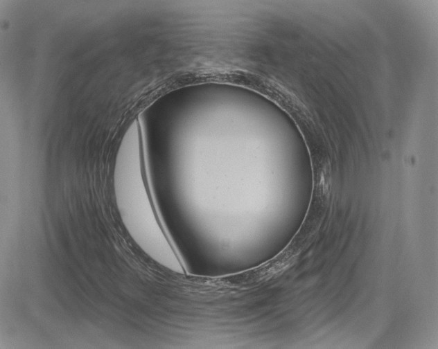 X0000082711348200701260945
