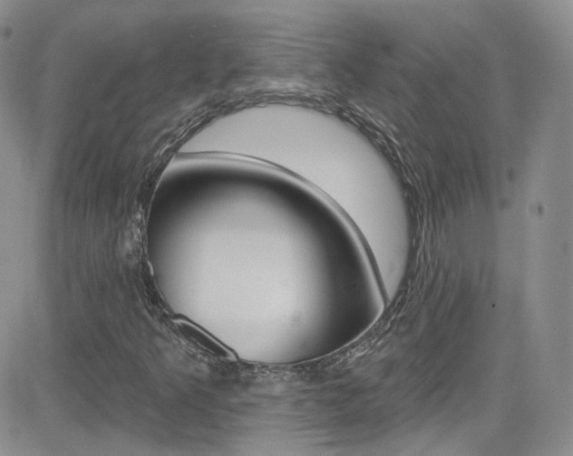 X0000082711349200701260945
