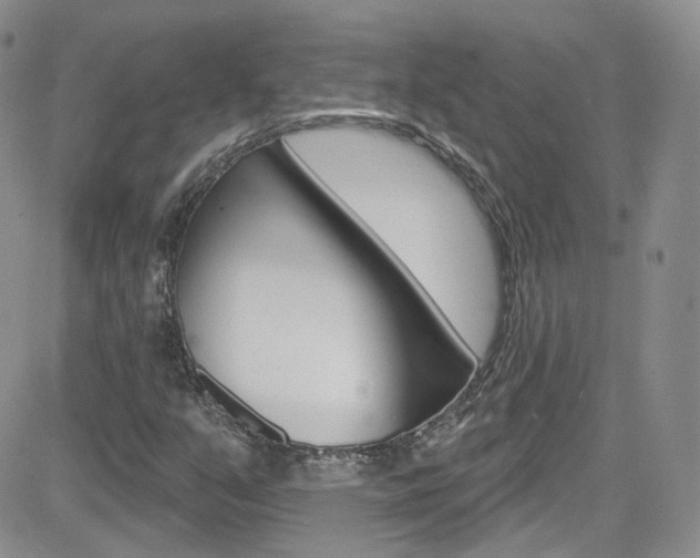 X0000082711351200701260945