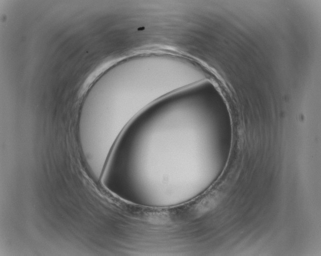 X0000082711363200701260944