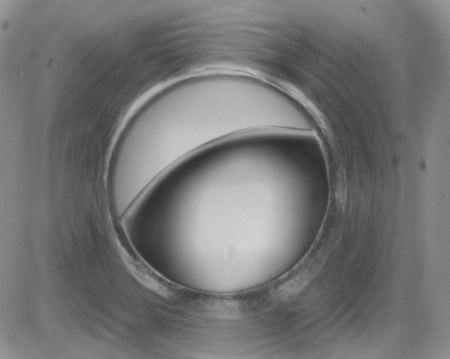 X0000082711372200701260944