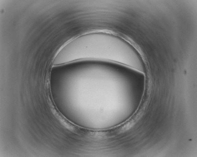 X0000082711377200701260944
