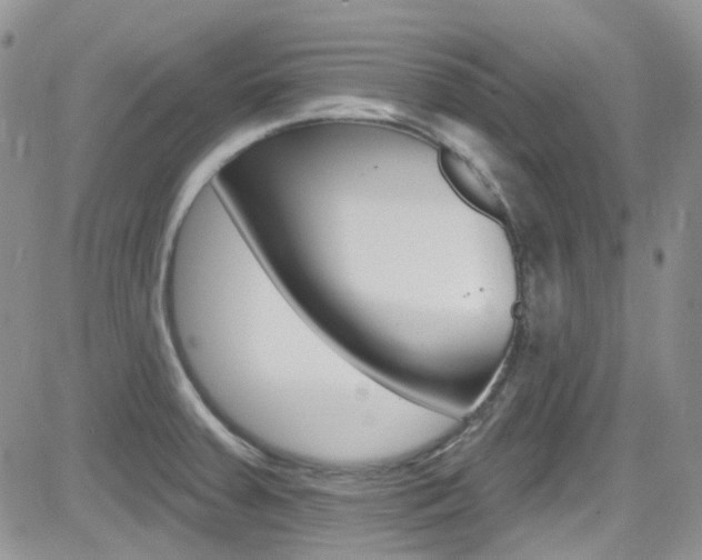 X0000082711379200701260944