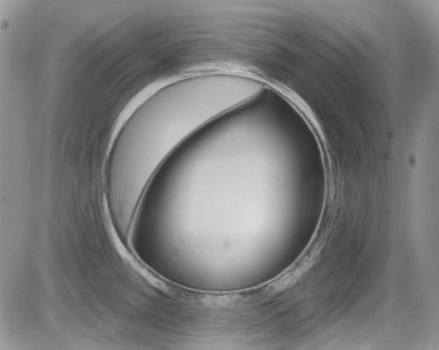 X0000082711389200701260944