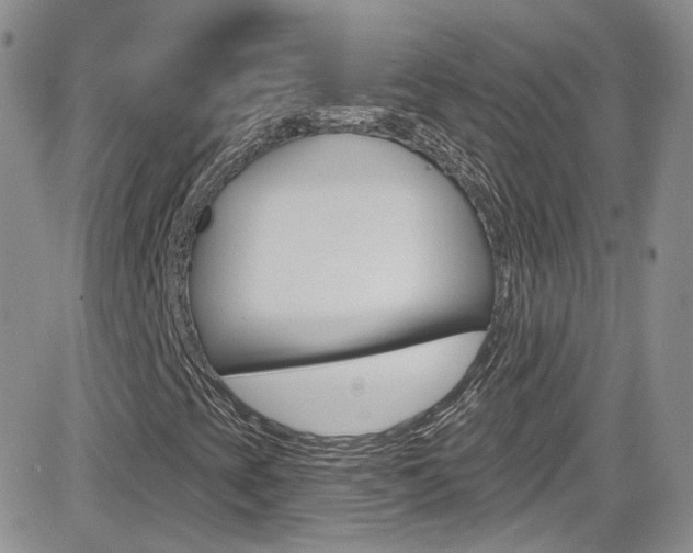 X0000082711393200701260943