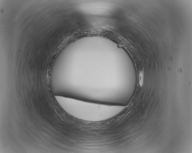 X0000082711395200701260943