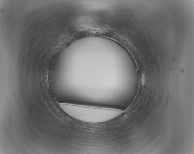 X0000082711396200701260943