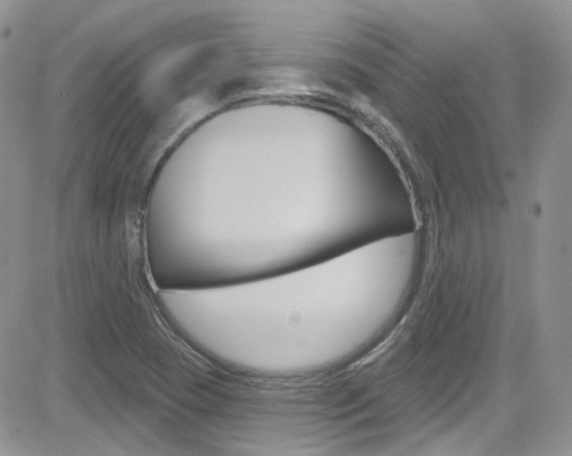 X0000082711409200701260943