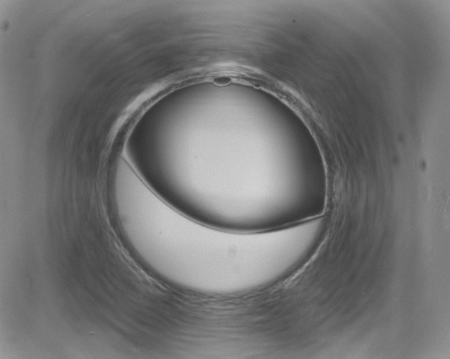 X0000082711410200701260943