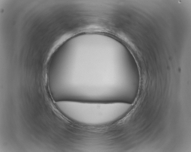 X0000082711413200701260943