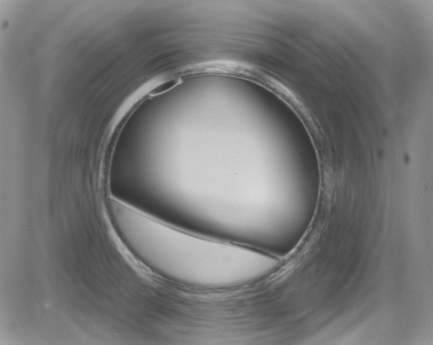 X0000082711426200701260944
