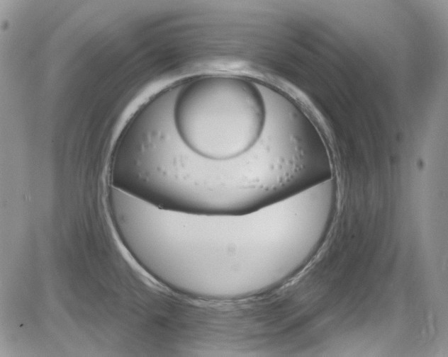 X0000082711432200701260944