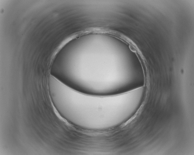 X0000082711433200701260944