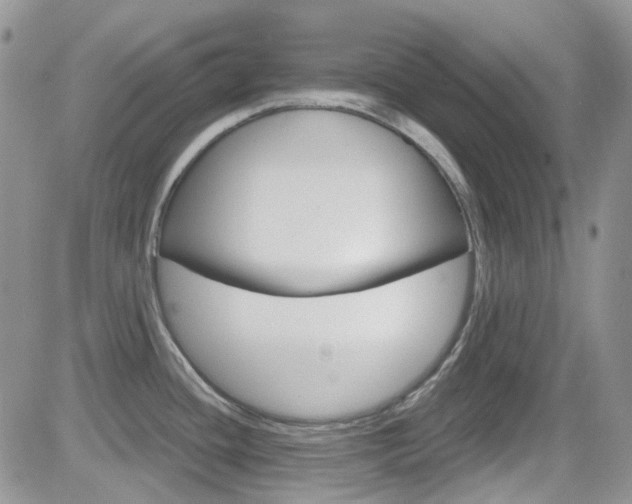 X0000082711436200701260944