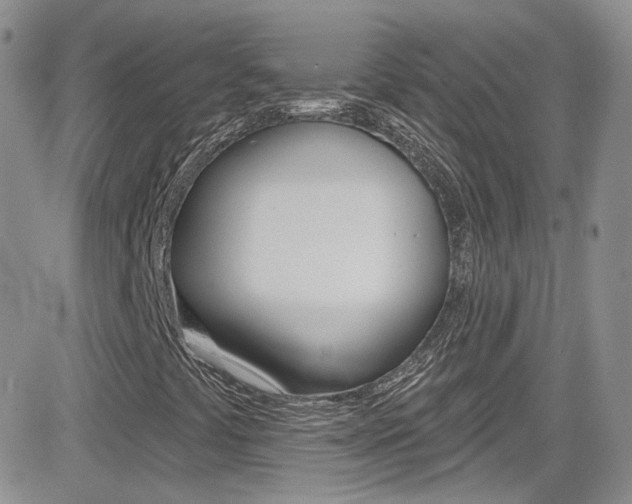 X0000082711441200701260943