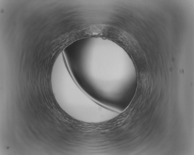 X0000082711442200701260943