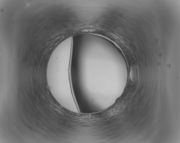 X0000082711444200701260943