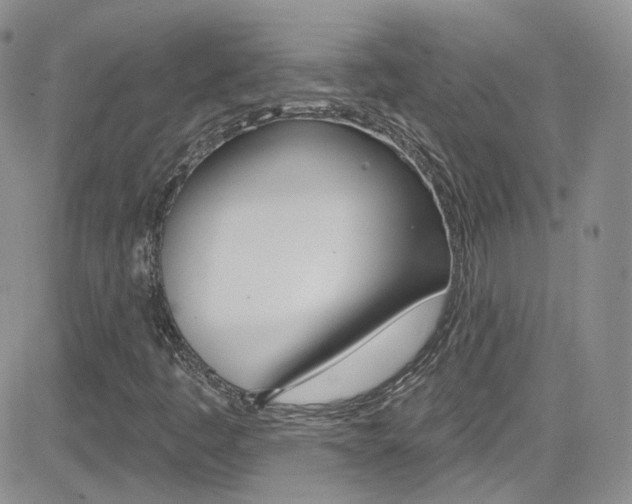 X0000082711445200701260943