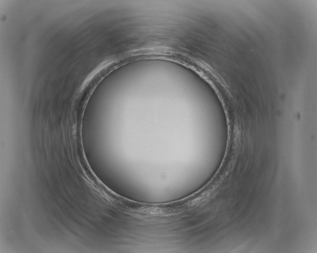 X0000082711450200701260943