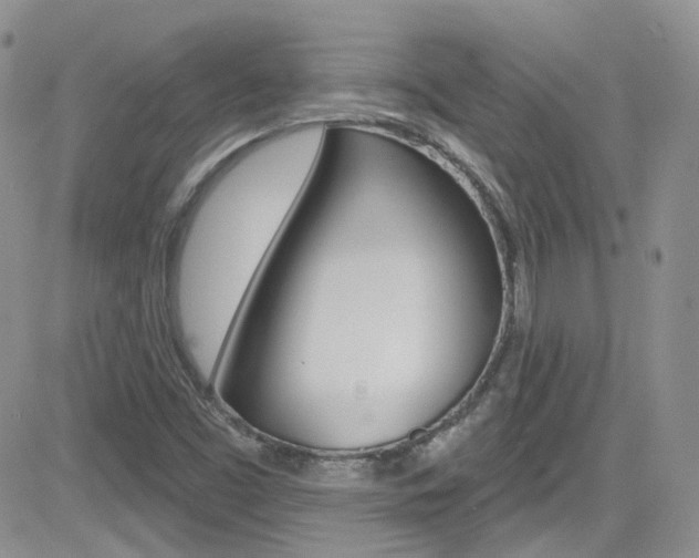 X0000082711453200701260943