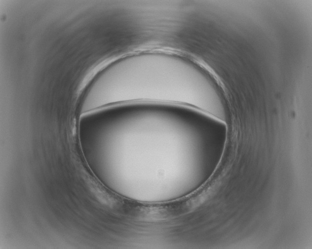 X0000082711461200701260943