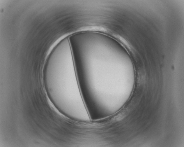 X0000082711468200701260943