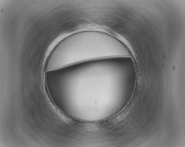 X0000082711472200701260943