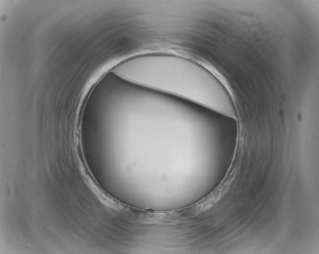 X0000082711485200701260942