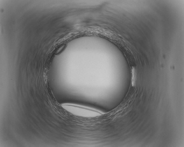 X0000082711491200701260942